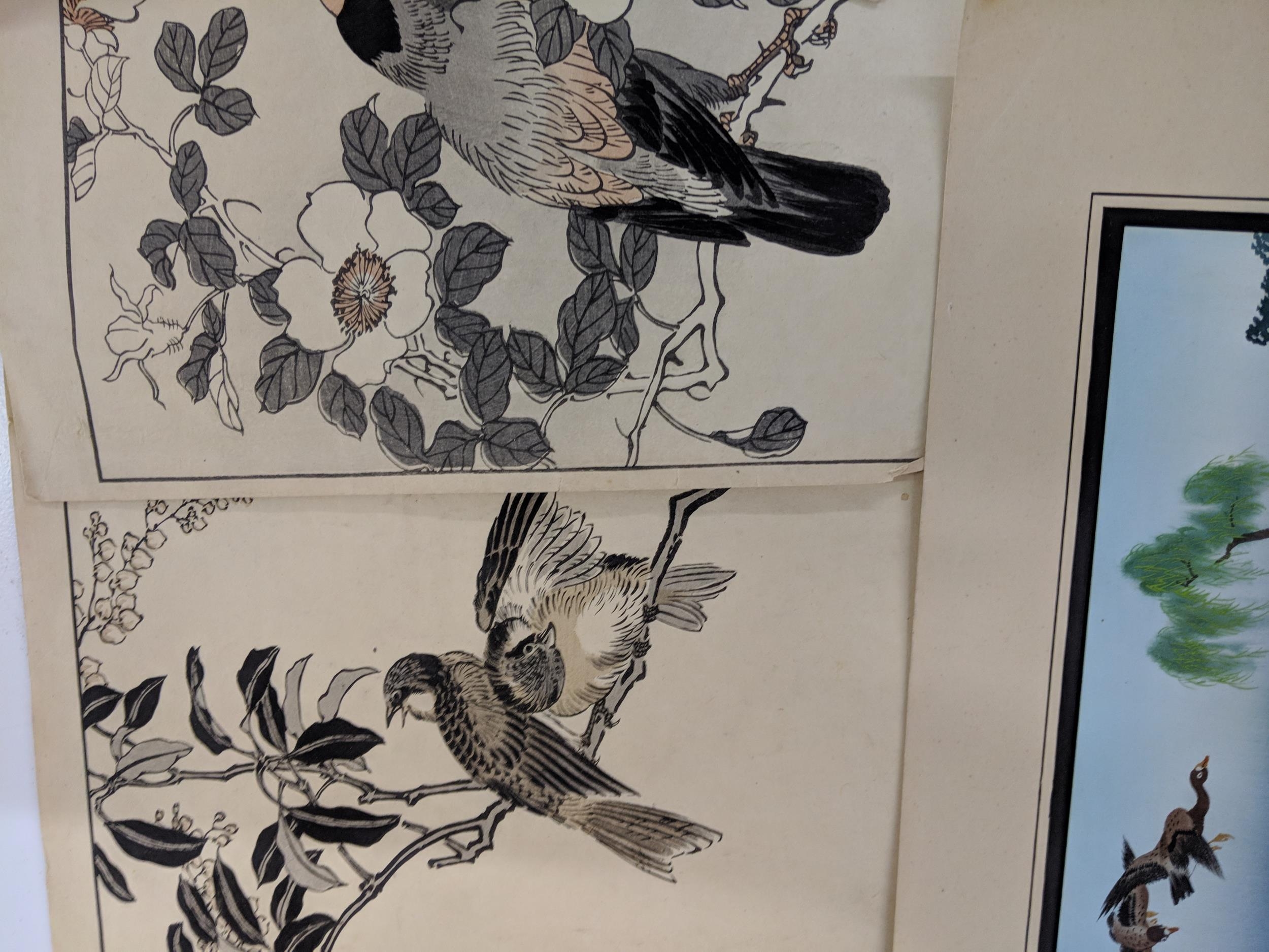 Twelve unframed oriental artists, one of a landscape and eleven depicting birds, and an Location: - Image 2 of 10