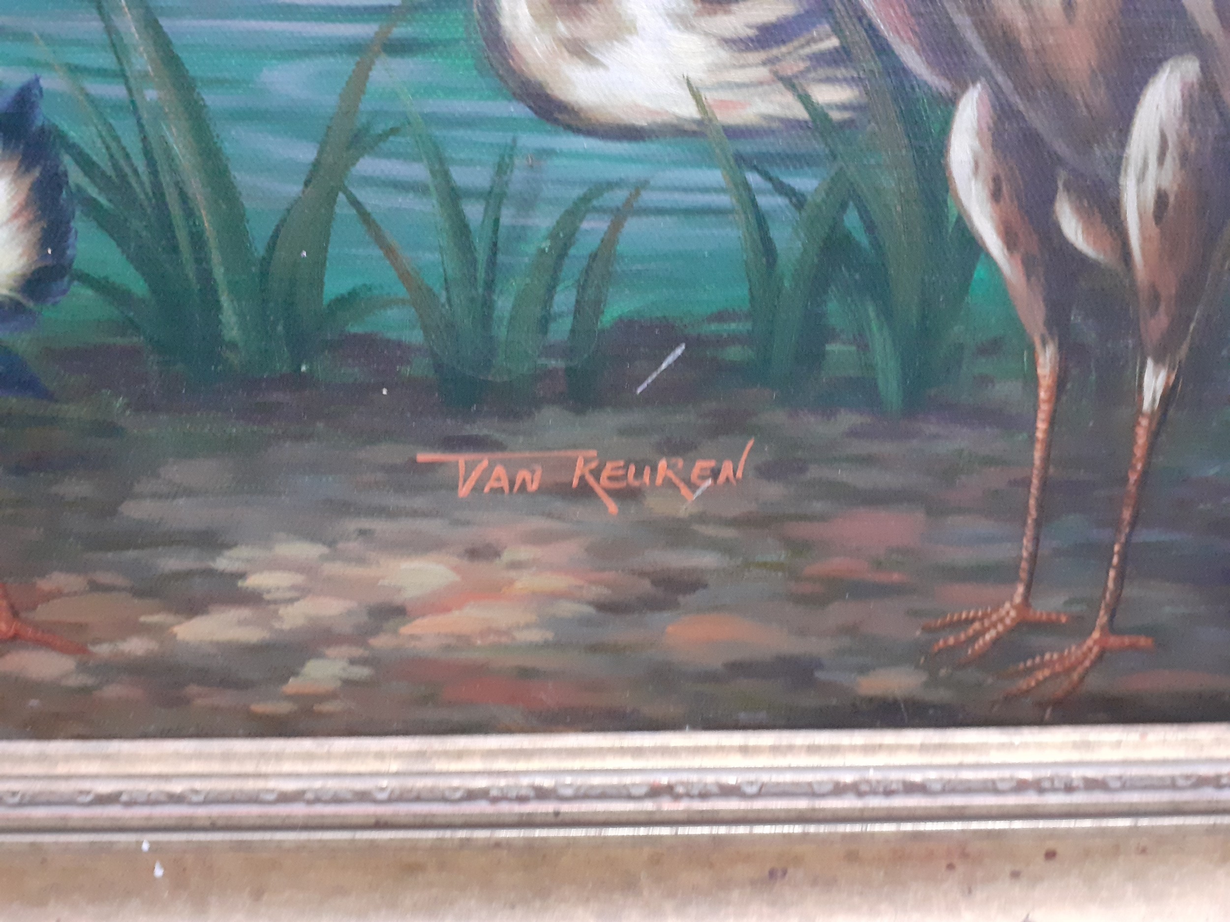 Van Reuron - An oil on canvas 59x89cm, exotic birds on pond and tree to include parrots and ducks, - Image 3 of 3