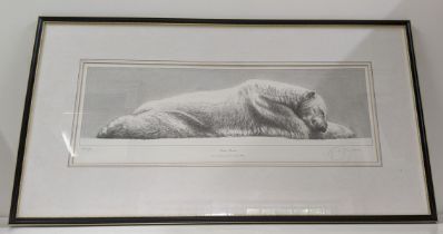 Gary Hodges 'Arctic Slumber' signed limited edition print 689/830, 19cm x 54cm, framed and glazed