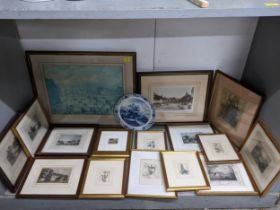 A selection of framed and glazed prints to include botanical prints, topographical prints,