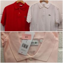 Lacoste-A new gents pink sports t-shirt, classic fit size 4 (approx 40" chest) with original tags