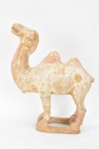 A Chinese terracotta model of a camel, possibly tang dynasty, 14.5cm high x 11cm wide