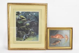 Two paintings to include Mabel Gear (British 1900-1997) - An oil on board depicting three fish, 25.