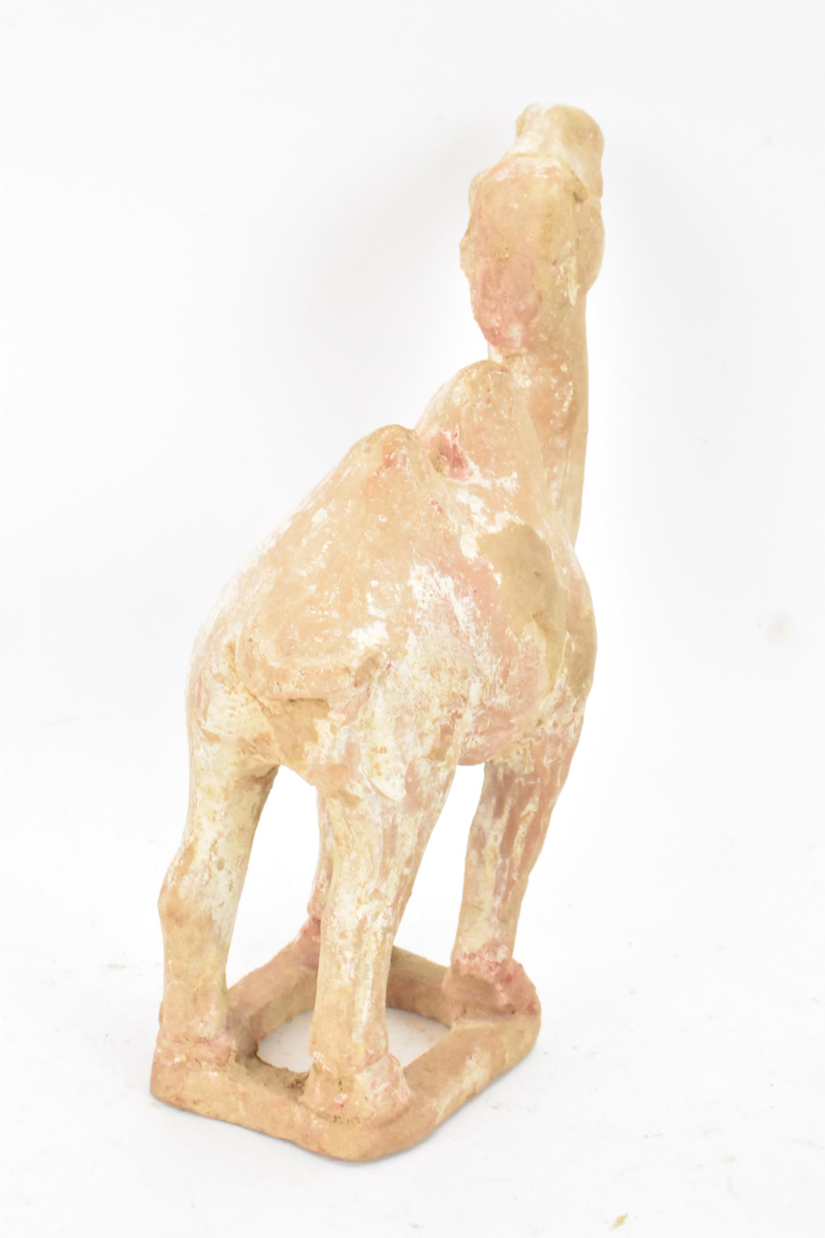 A Chinese terracotta model of a camel, possibly tang dynasty, 14.5cm high x 11cm wide - Image 4 of 5
