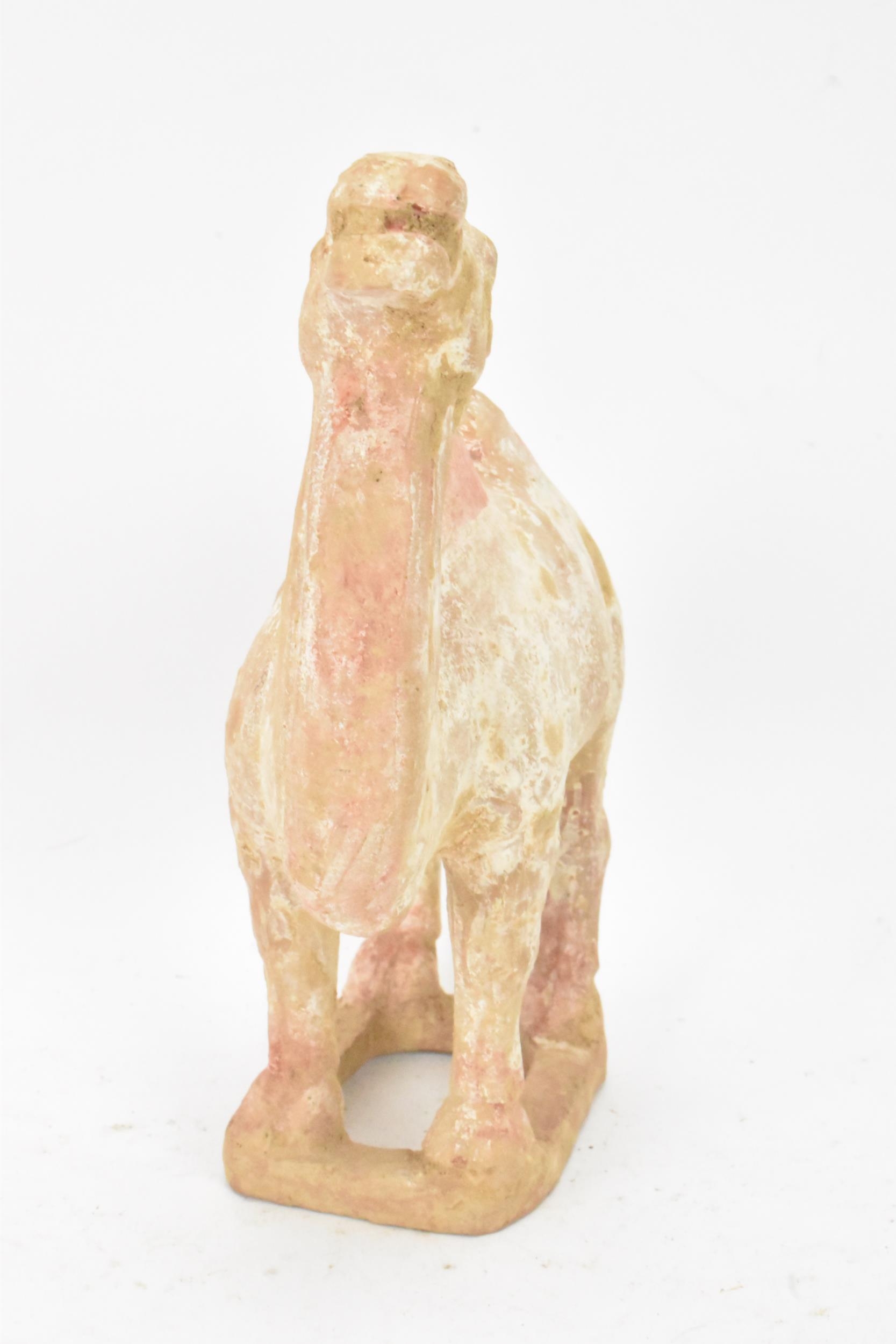 A Chinese terracotta model of a camel, possibly tang dynasty, 14.5cm high x 11cm wide - Image 2 of 5