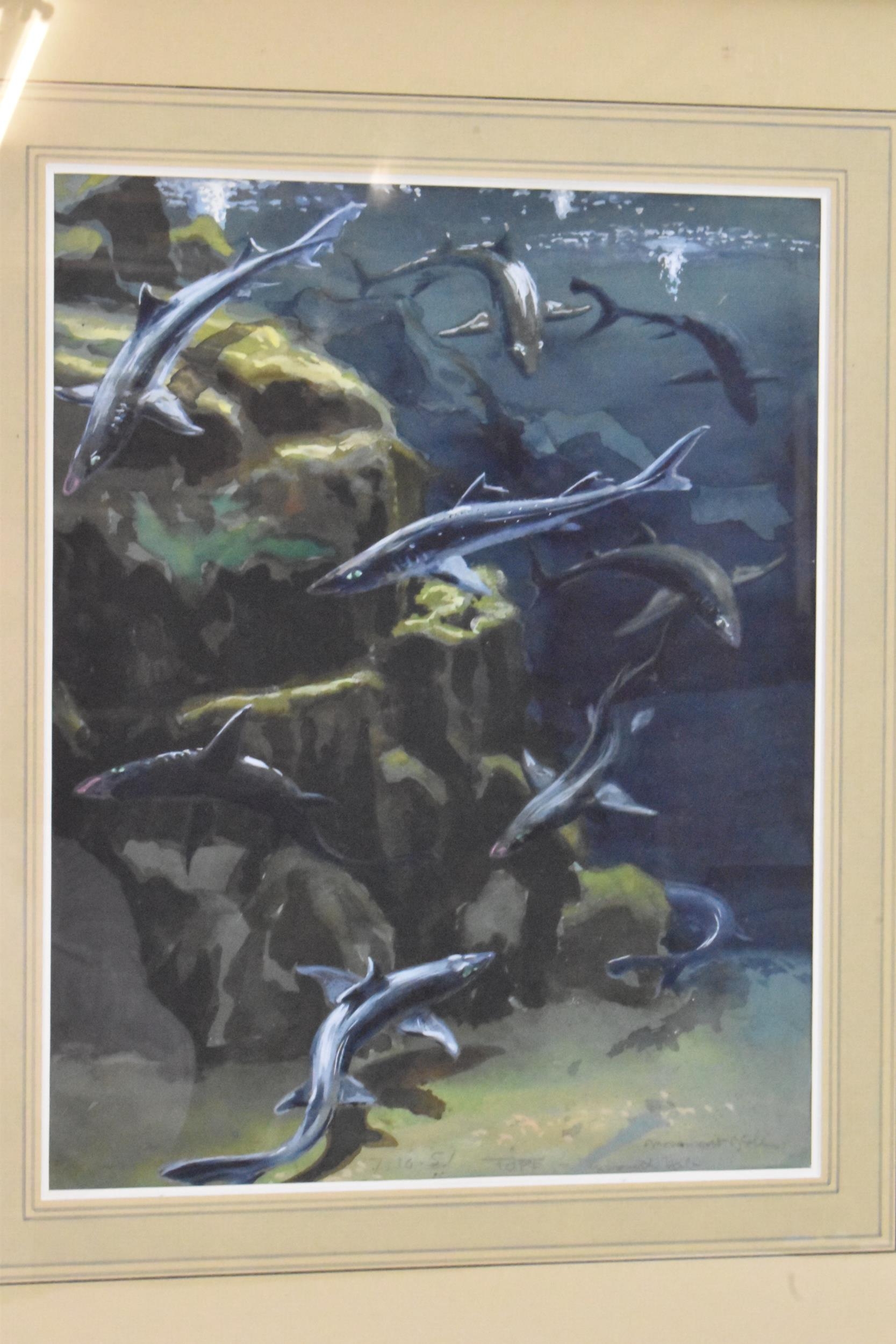 Two paintings to include Mabel Gear (British 1900-1997) - An oil on board depicting three fish, 25. - Image 7 of 9