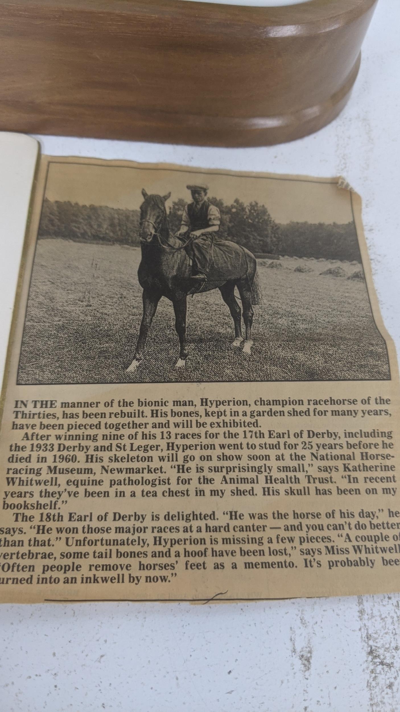 A Royal Worcester race horse No. 298/500 Hyperion with certificate Location: If there is no - Image 3 of 5