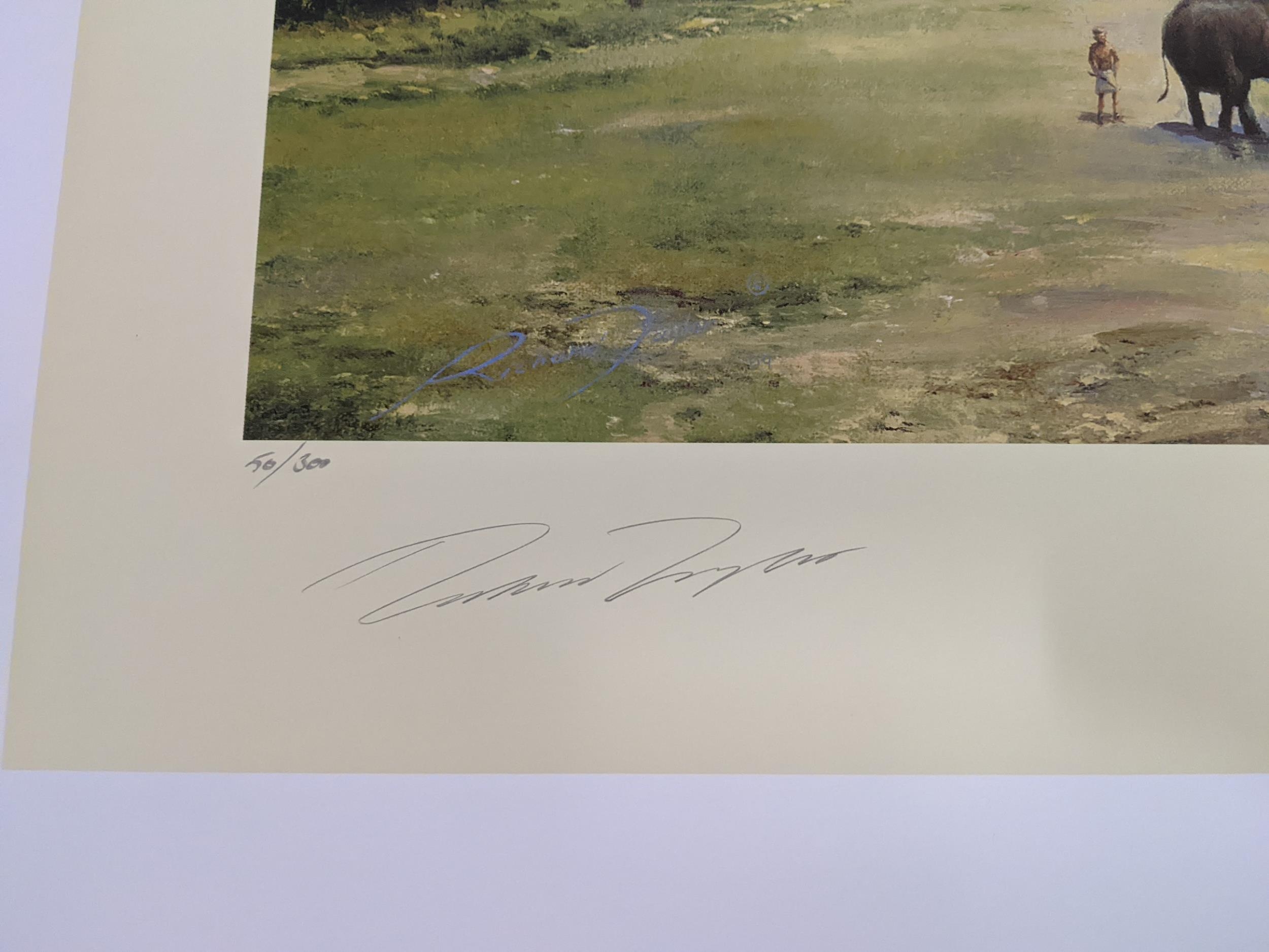 Robert Taylor 'Height and Sun' 59.6cm c 32.3cm limited edition print, with four signatures and - Image 6 of 9