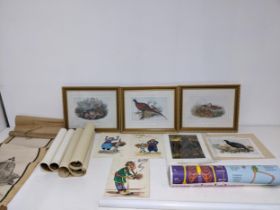 A selection of pictures to include two 1970s original cartoon illustrations signed Hayro (Hairo Avo,