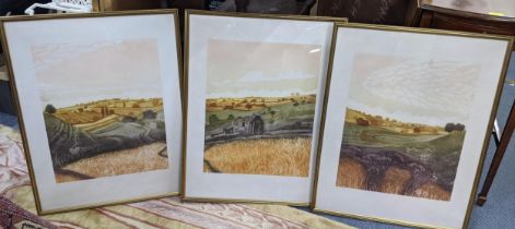 Robert Barnes - a set of three limited edition etchings entitled Midsummer 1-3, 47.5cm x 38cm,