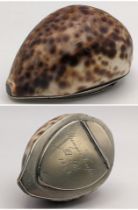 An early Victorian snuff box formed from a Cyprae Tigris seashell, with a silver plated engraved lid