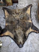 A taxidermist wild Boar rug Location:G if there is no condition report shown, please request