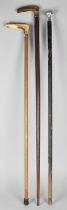 Three Various Vintage Walking Sticks to comprise Two with Horn Handles and One with White Metal
