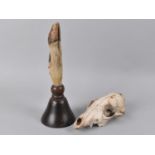 An Early 20th Century Deer Foot Handled Bell together with a Animal Skull