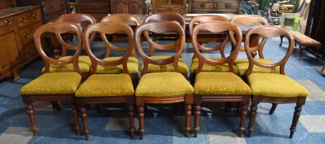 A Set of Nine Plus One Late Victorian Balloon Back Mahogany Framed Dining Chairs