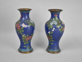 A Pair of Late 20th Century Chinese Cloisonne Vases of Baluster Form decorated with Chrysanthemums