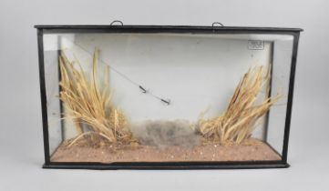 A Taxidermy Case with Naturalistic Setting with Plaque in top Right hand Corner 'Presented by J.