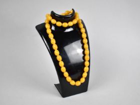 An Amber Bead Necklace