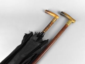 An Edwardian Horn Handled Walking Stick with Gilt Metal Collar having Presentation Inscription Dated
