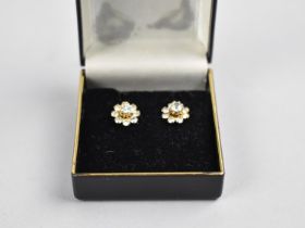 A Pair of Ladies Jewelled Stud Earrings