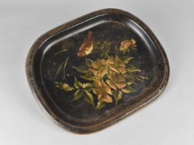 A Late 19th/Early 20th Century Hand Painted Toleware Tray Decorated with Bird and Blossom, 32x26cms