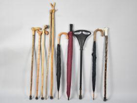 A Collection of Various Walking Sticks, Shooting Stick and Umbrellas