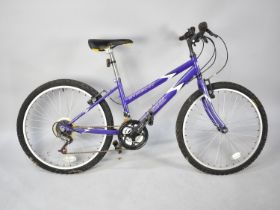 A Late 20th Century Childs Synergy Universal Mountain Bike