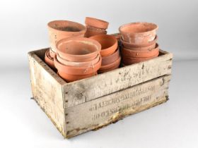 A Collection of Terracotta Plant Pots in Wooden Crate, Largest 13cms Tall Approx