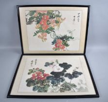 A Pair of Framed Chinese Prints, Each 43x32cms