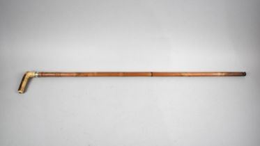 A Vintage Bamboo Walking Stick with Bone Crop Style Handle and Silver Plated Collar