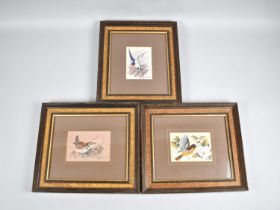 Three Framed Cash's Silks, British Birds