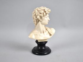 An Italian Grand Tour Style Resin Bust of David After G Ruggeri, 14cms High