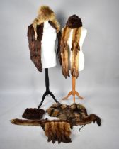 A Collection of Various Vintage Fur Stoles and a Muff