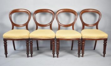 A Set of Four Late Victorian Mahogany Framed Balloon Backed Dining Chairs, Upholstered to Match