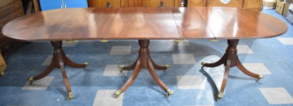 A Three Pedestal Mahogany Oval Topped Dining Table Extending to 287cms by 105cms, Brass Claw Castors