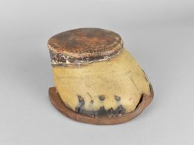 A Taxidermy Study of a Horse's Hoof with Horseshoe