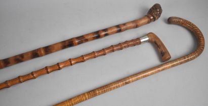 A Collection of Three Bamboo Walking Canes, One with Root Handle, One Horn Handle and One with