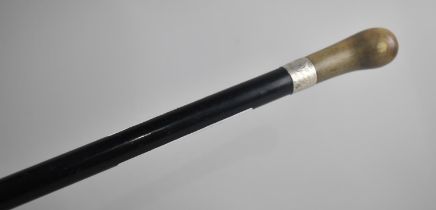 A Silver Mounted Ebony Walking Cane by Jonathan Howell, Hallmarked for London 1924 with a Horn