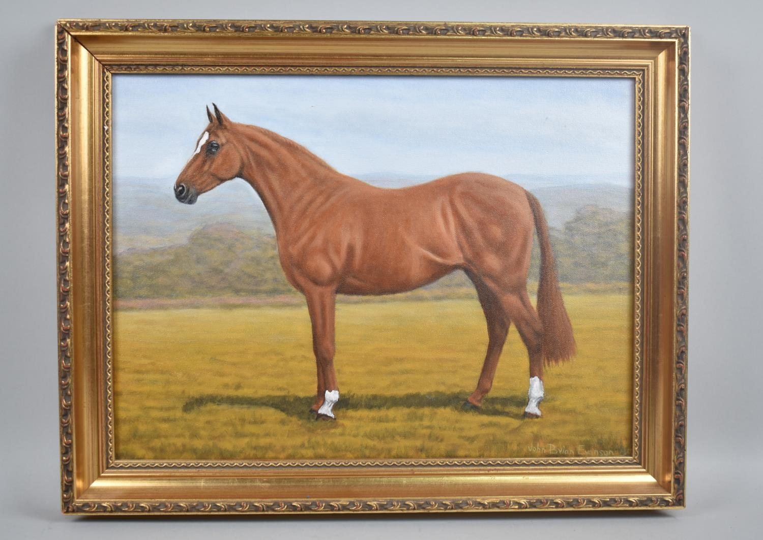 A Framed Oil on Canvas Depicting Chestnut Horse, Signed John Brian Evanson, 39x29cms