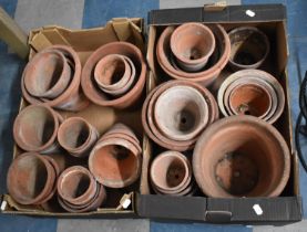 Two Boxes of Various Terracotta Plant Pots, Various Sizes Ranging from 10cm to 20cm high
