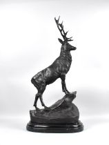 A Large Patinated Bronze Study of a Stag on Rock, Facing Right, 75cms High