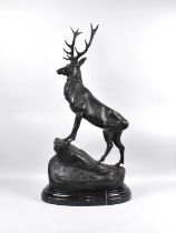 A Large Patinated Bronze Study of a Stag on Rock, Facing Left, 75cms High