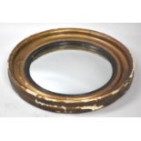A 19th Century Gilt Framed Circular Convex Wall Mirror, 64cms Diameter Overall, Condition issues