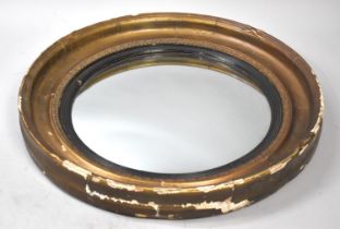 A 19th Century Gilt Framed Circular Convex Wall Mirror, 64cms Diameter Overall, Condition issues