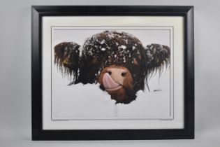 A Framed Photographic Print of Highland Calf in Snow, 40x30cms