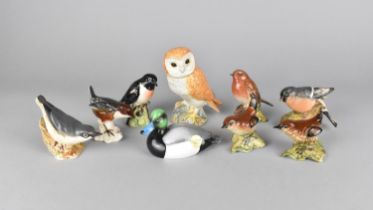 A Collection of Nine Various Beswick Birds to Include Owl, John Beswick Greater Scaup etc, Various