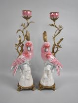 A Pair of Gilt Bronze and Porcelain Freestanding Candlesticks in the Form of Cockatiels, 42cms High