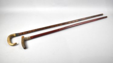 Two Vintage Horn Handled Walking Sticks with Silver Collars