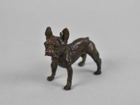 A Bronze Study of a Bulldog with Collar, 6cms Long