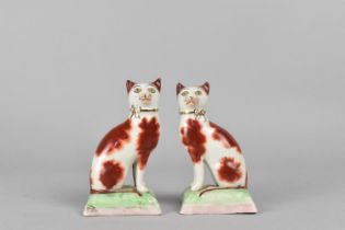 A Pair of Porcelain Studies of Cats, Modelled Seated on Cushion in the Liver Colourway, 10cm high